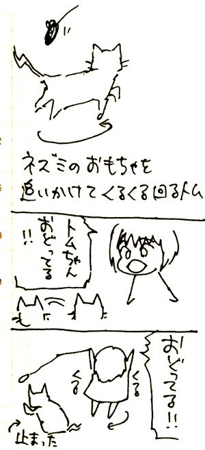 2y6md.jpg